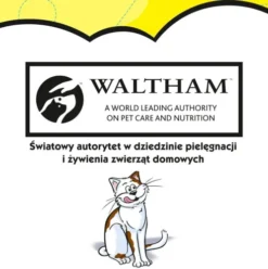 Dreamies Przysmak Mega Pudełko Pyszny Ser dla kota op. 350g