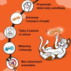 Dreamies Przysmak Pyszny Kurczak dla kota op. 180g [Data ważności: 17.04.2027]