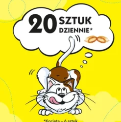 Dreamies Przysmak Pyszny Ser dla kota op. 60g