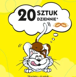 Dreamies Przysmak Pyszny Ser dla kota op. 60g PAKIET 6szt.