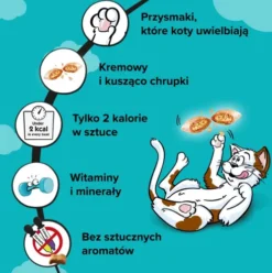Dreamies Przysmak Wyborny Łosoś dla kota op. 60g