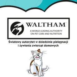 Dreamies Przysmak Wyborny Łosoś dla kota op. 60g