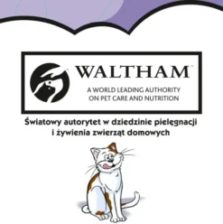 Dreamies Przysmak Wyśmienita Kaczka dla kota op. 60g [Data ważności: 16.03.2027]