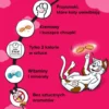 Dreamies Przysmak Wyśmienita Wołowina dla kota op. 60g [Data ważności: 20.01.2027]