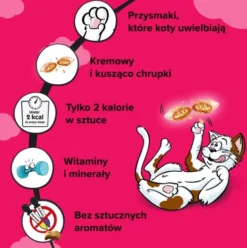Dreamies Przysmak Wyśmienita Wołowina dla kota op. 60g PAKIET 6szt. [Data ważności: 30.01.2027]