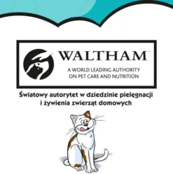 Dreamies Przysmak z nutą kocimiętki dla kota op. 60g