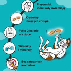 Dreamies Przysmak z nutą kocimiętki dla kota op. 60g PAKIET 6szt.