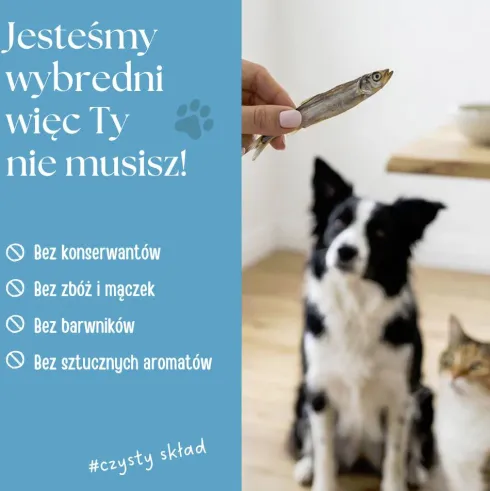 Dr Malou Przysmak Kapelany dla psa i kota op. 80g