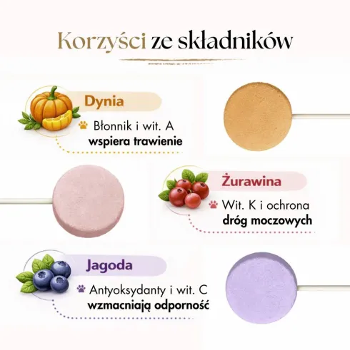 Dr Malou Przysmak Lollipop Mix smaków dla psa op. 48g