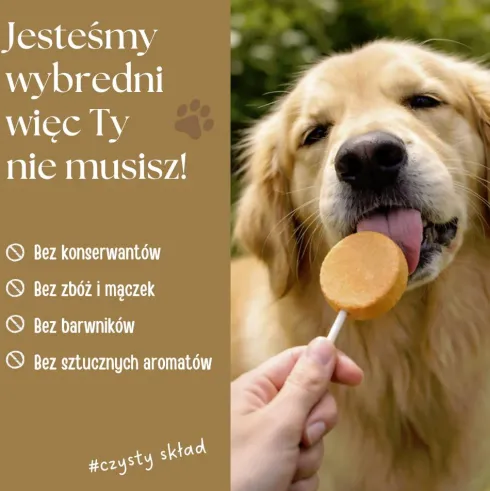 Dr Malou Przysmak Lollipop Mix smaków dla psa op. 48g