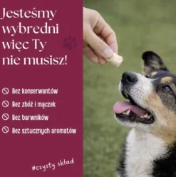 Dr Malou Przysmak Pierś z kaczki dla psa op. 50g