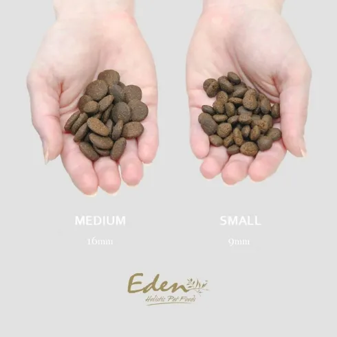 Eden Country Cuisine Medium Sucha karma dla psa op. 12kg