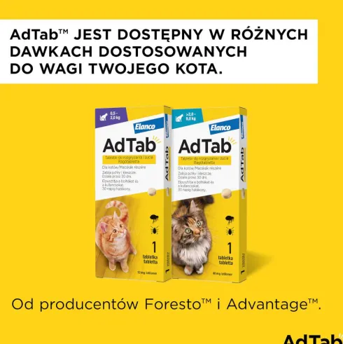 Elanco AdTab Tabletka na kleszcze i pchły 48mg dla kota o wadze 2kg-8kg op. 1szt.