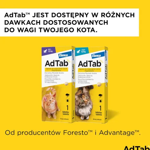 Elanco AdTab Tabletka na kleszcze i pchły 48mg dla kota o wadze 2kg-8kg op. 1szt. Pakiet 3szt.