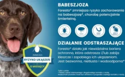 Elanco Foresto Obroża na kleszcze i pchły dla psa powyżej 8kg dł. 70cm