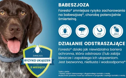 Elanco Foresto Obroża na kleszcze i pchły dla psa powyżej 8kg dł. 70cm