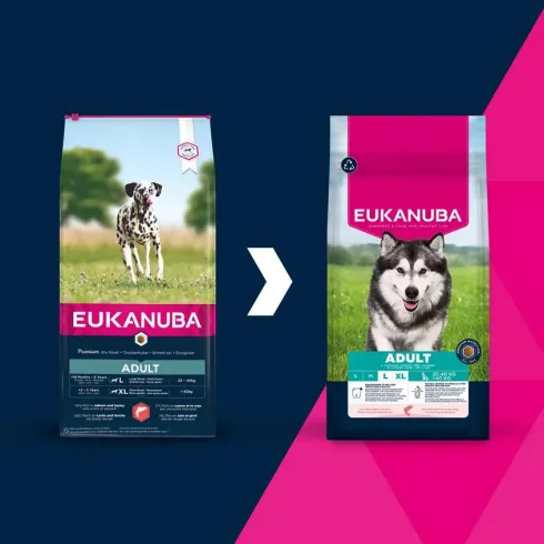 Eukanuba Adult Large&Extra Large Salmon&Barley Sucha Karma dla psa op. 12kg