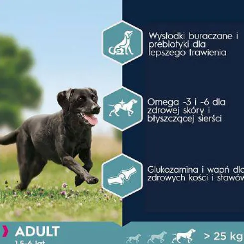 Eukanuba Adult Large Sucha Karma dla psa op. 15kg+3kg GRATIS