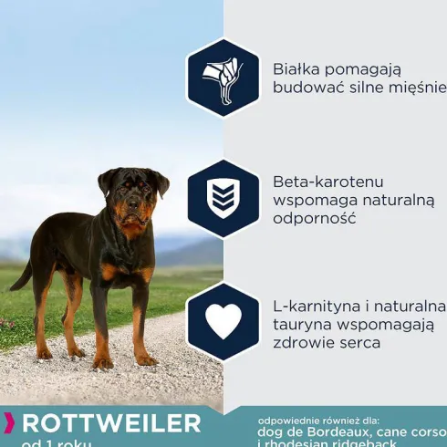 Eukanuba Adult Rottweiler Sucha Karma dla psa op. 12kg