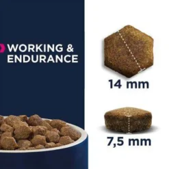 Eukanuba Daily Care Adult Working&Endurance Sucha Karma dla psa op. 15kg