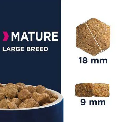 Eukanuba Mature Large&Extra Large Sucha Karma dla psa op. 15kg