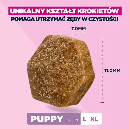 Eukanuba Puppy Large&Extra Large Sucha Karma dla szczeniaka op. 15kg