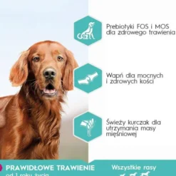 Eukanuba Special Care Adult Sensitive Digestion Sucha Karma dla psa op. 12kg