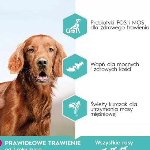 Eukanuba Special Care Adult Sensitive Digestion Sucha Karma dla psa op. 2x12kg MEGA-PAK