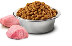 Farmina N&D Pumpkin Adult Medium/Maxi Lamb&Blueberry Sucha Karma dla psa op. 12kg