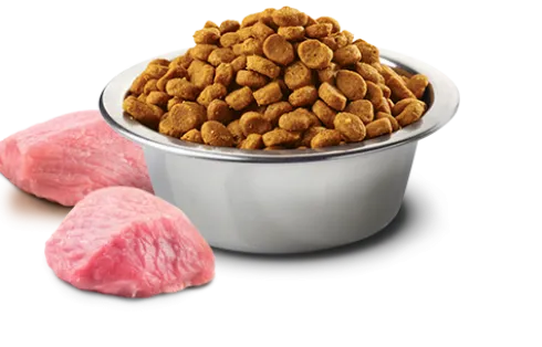 Farmina N&D Pumpkin Adult Medium/Maxi Lamb&Blueberry Sucha Karma dla psa op. 2x12kg MEGA-PAK