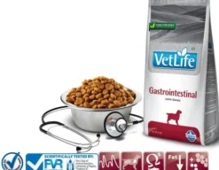 Farmina Vet Life Dog Gastrointestinal Sucha Karma dla psa op. 2x12kg MEGA-PAK