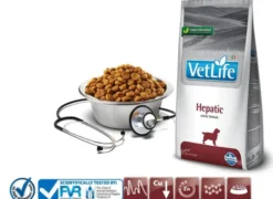 Farmina Vet Life Dog Hepatic Sucha karma dla psa op. 2kg
