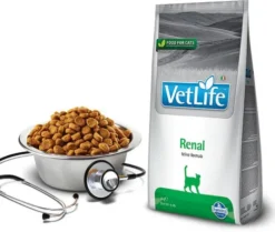 Farmina Vet Life Renal Sucha Karma dla kota op. 2kg