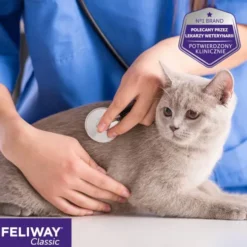 Feliway Feromony kojące dyfuzor+wkład dla kota poj. 48ml