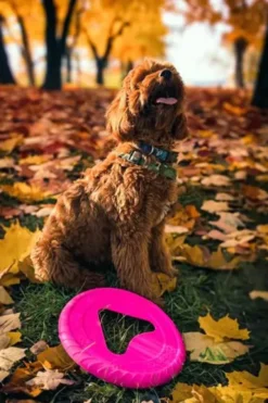 Fiboo Frisboo Mini Dysk dla psa kolor żółty śr. 17cm