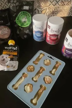 Fiboo Iceboo Foremka na lody kolor zielony WYPRZEDAŻ