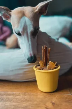 Fiboo Snack Fibeek Zabawka do wypełnienia jedzeniem kolor fioletowy + przykrywka (bez otworu)