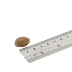 Fish4Dogs Superior Senior Large Salmon Sucha Karma dla psa op. 12kg