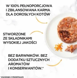Gourmet Gold Savoury Cake Mokra Karma dla kota op. 48x85g