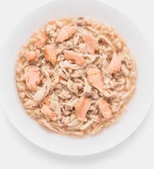 Grandorf Adult Chicken&Salmon Fillet Mokra karma dla kota op. 70g Pakiet 6szt.
