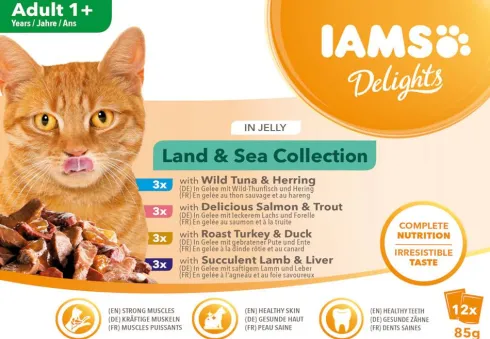 Iams Delights Land&Sea Collection in Jelly Mokra Karma dla kota op. 12x85g WYPRZEDAŻ