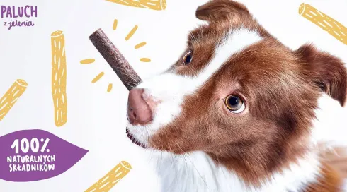 John Dog Premium Przysmak Paluchy z sarny dla psa op. 7szt.