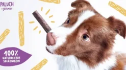 John Dog Premium Przysmak Paluchy z zająca dla psa op. 7szt.