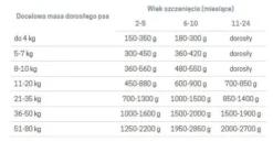John Dog Pumpkin line Puppy Dzik z królikiem i dynią Mokra Karma dla psa op. 400g