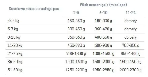 John Dog Pumpkin line Puppy Dzik z królikiem i dynią Mokra Karma dla psa op. 400g