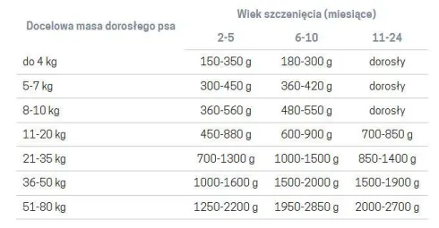 John Dog Pumpkin line Puppy Dzik z królikiem i dynią Mokra Karma dla psa op. 800g