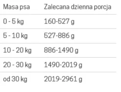 John Dog Pure Black Adult Pheasant Mokra Karma dla psa op. 400g
