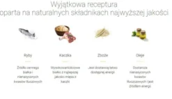 Josera Josicat Adult Crispy Duck Sucha Karma dla kota op. 10kg [Data ważności: 13.11.2026]