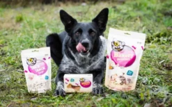 LoLo Pets Tort o smaku mięsno-warzywnym dla psa nr kat. 75562