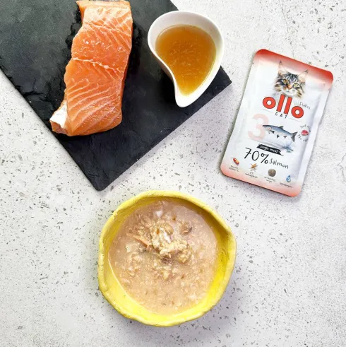 Ollo Cat Nr 3 Salmon Mokra Karma dla kota op. 85g Pakiet 12szt.